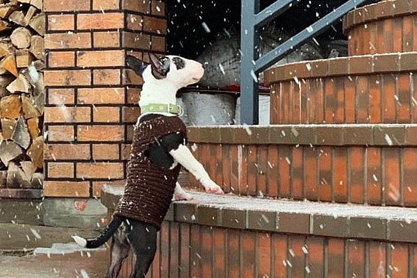 Акция! Весенний ЛОНДОН ЛСР до 31.05.2025!